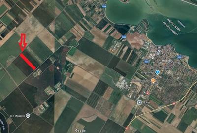 Mihailesti - Giurgiu Teren intravilan - 40.600 mp, deschidere 55 ml - 3