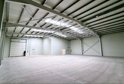 Hala 600 mp - TBM Park Chiajna - curte 460mp - TIR - scutit TVA - 3