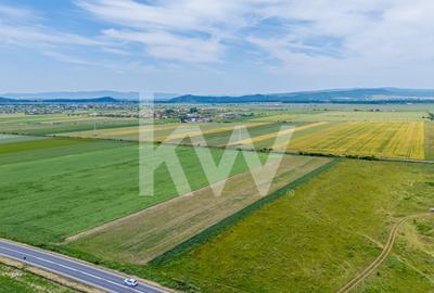 Teren de vanzare I 43 500 mp I Deschidere la drum - Harman - 19