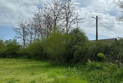 Teren Construcții intravilan de 2250 mp, în Borănești - 8