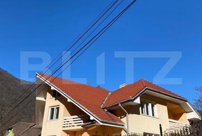 Vila 7 camere, 750mp-teren, BAILE HERCULANE - 4