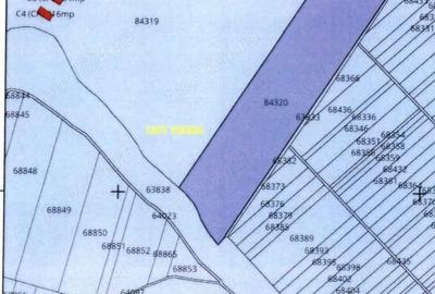 Teren de 50000 mp, în Sintești - 4