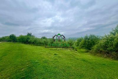 Teren 3507 mp/ Seaca/Calimanesti Teren 3507 mp/ Seaca/Calimanesti - 1