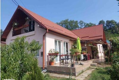 Casă cu 5 camere cu Teren 3000 Mp în Ceuaș - 2