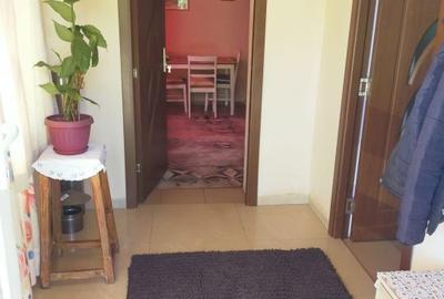 Casă cu 2 camere cu Teren 3000 Mp în Jucu - 9