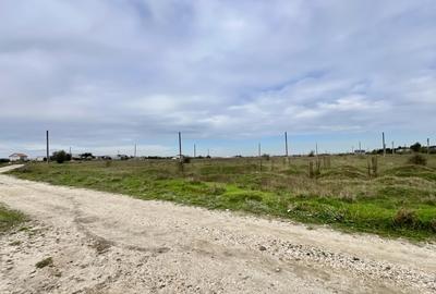 Teren intravilan Lumina, lac si canalul Dunare-Marea Neagra pentru investie - 4