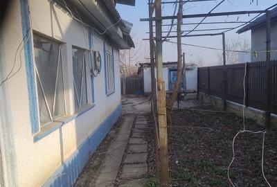 Casă cu 3 camere cu Teren 1168 Mp în Bivolari - 2