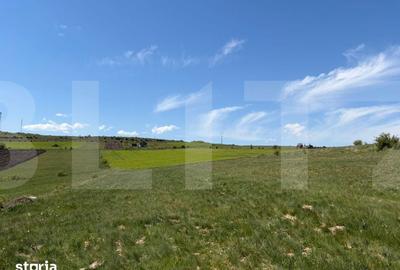 Teren de 484 mp, în Chinteni