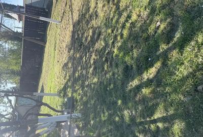 Casă cu 2 camere în Pogana - 6