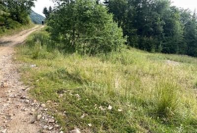 Teren Rasnov inntravilan PUZ) zona Parau Rece - 5