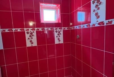 Casă individuală cu 4 camere cu Teren 676 Mp în Moldovița - 4