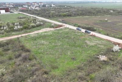 Mogosoaia | Teren intravilan | 2 parcele a cate 933 mp Mogosoaia | Teren intravilan | 2 parcele a cate 933 mp - 3