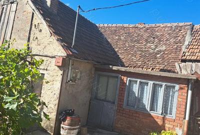 Casa batraneasca la Svinita - 1