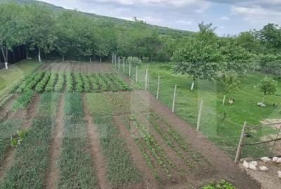 Casă cu 4 camere cu Teren 1800 Mp în Central - 12