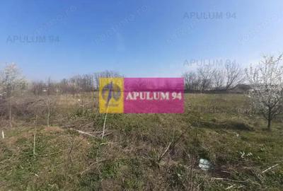 Teren de 4800 mp, în Glina - 9