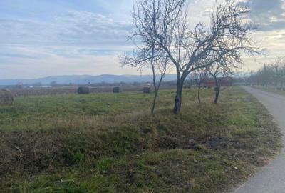 Spațiu comercial, în Urvind - 1