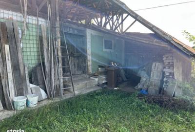 Casă cu 4 camere în Bujoi - 3