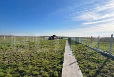 Teren cu Poten?ial ?i Facilita?i , 1000.00 mp in Cionch - 5