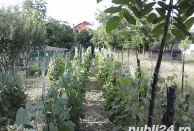 Casă cu 6 camere cu Teren 1806 Mp în Mărăcineni - 1