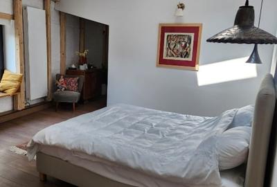 Proprietar, inchiriez vila interbelica cu gradina, Icoanei - 8