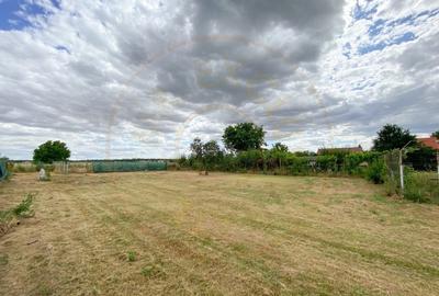Teren intravilan 1412 mp, Ciofliceni - Ilfov - 3