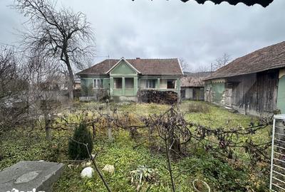 Casă cu 4 camere cu Teren 3000 Mp în Cășeiu - 2