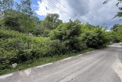 Teren Construcții intravilan de 683 mp, în Plaiu (Provița de Sus) - 4