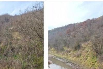 Teren cota parte 1/12 Deleni, ID: R2662164 - 2