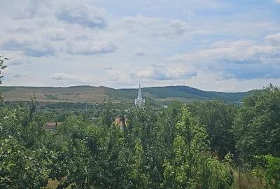 Casă cu 7 camere cu Teren 2870 Mp în Viișoara - 9