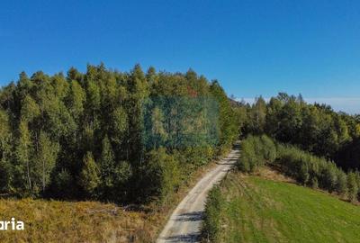 Teren de 1000 mp, în Băișoara - 9