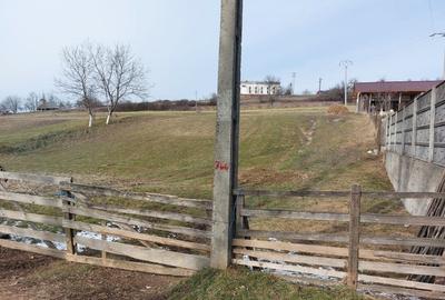 Teren de 1305 mp, în Valea Crișului - 6