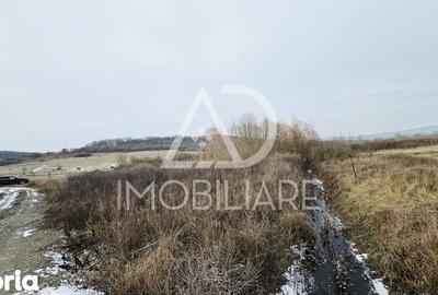 Teren de 1275 mp, în Turcinești - 7