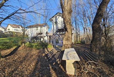 Teren central de vanzare - 4