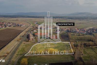 Teren de 5260 mp, în Reci - 6