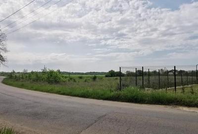 Corbeanca Padure Teren 1000mp - 4