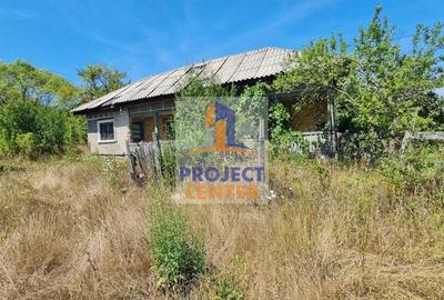 Casă cu 3 camere cu Teren 4525 Mp în Băbana - 7