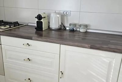 Studio Iancu Nicolae, Ambasada Americii, Gradina Zoologica | Elegant - 11