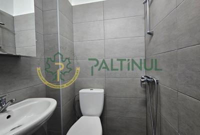 Garsonieră decomandată, mobilată în Vasile Aaron - 9