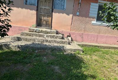 Casă individuală cu 3 camere cu Teren 5700 Mp în Pădureni (Grajduri) - 27