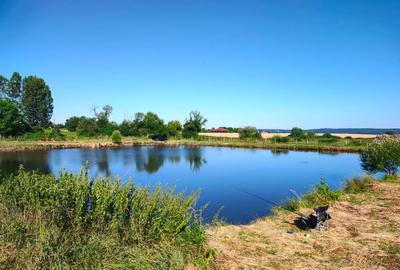 Teren 18.247 mp cu balta de pescuit Misca, Comuna Chi... - 5