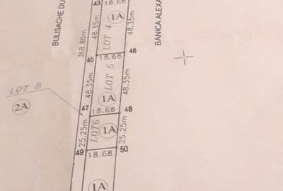 Teren - Snagov -900MP - 9