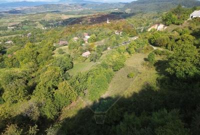 Teren intravilan de vanzare in Magureni - 8