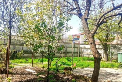 Casă cu 3 camere cu Teren 390 Mp în Jiului - 11