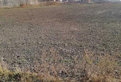 Spațiu comercial, în Săucești - 5