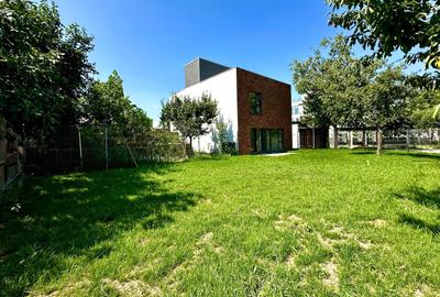 Casă individuală cu 4 camere cu Canalizare în Buziașului - 2