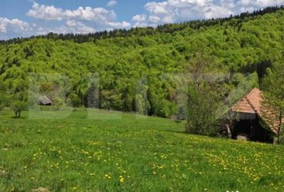 Teren de 3400 mp, în Bran - 3