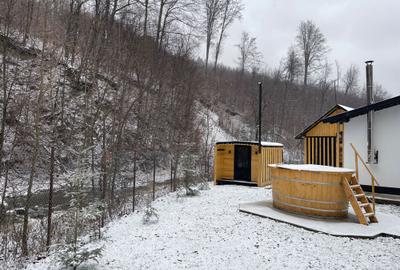 Casă cu 4 camere cu Teren 35000 Mp în Central - 7