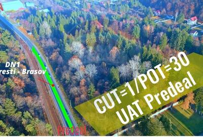 Teren constructii 10,000mp Timisul de Jos,zona VIP, UAT Predeal - 8