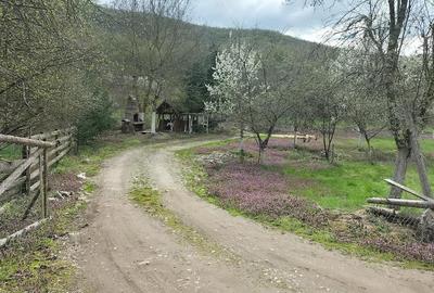 Teren de 14000 mp, în Gurahonț - 3