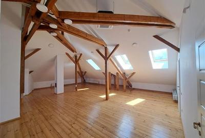 Casa individuala,Birou, 500 mp utili, situata in zona Centrala! - 17